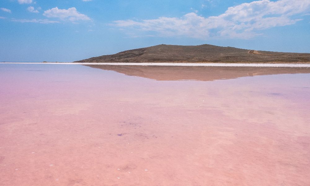 Кояшское розовое озеро в Крыму