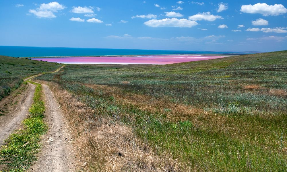 розовое озеро в крыму где находится