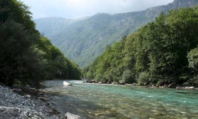 каньон реки Тары Черногория