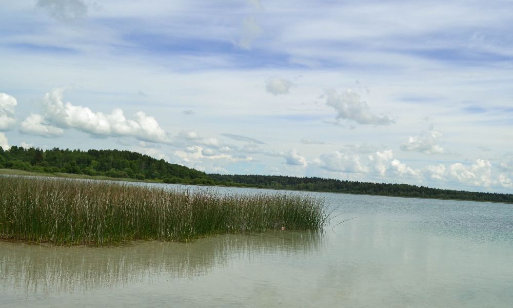 Озеро Донцо на машине