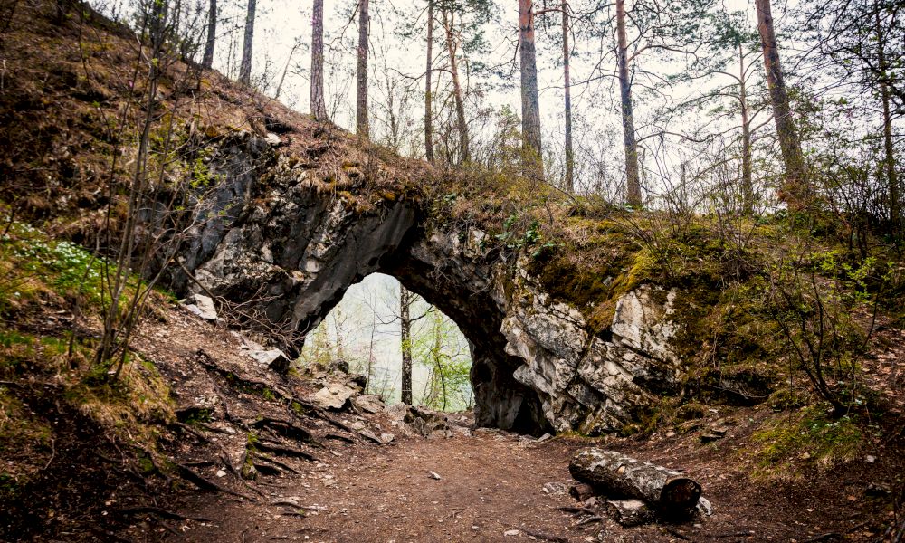 Тавдинские пещеры Алтайский край